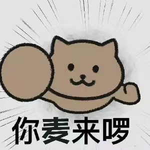 自闭麦片之收过锦旗版